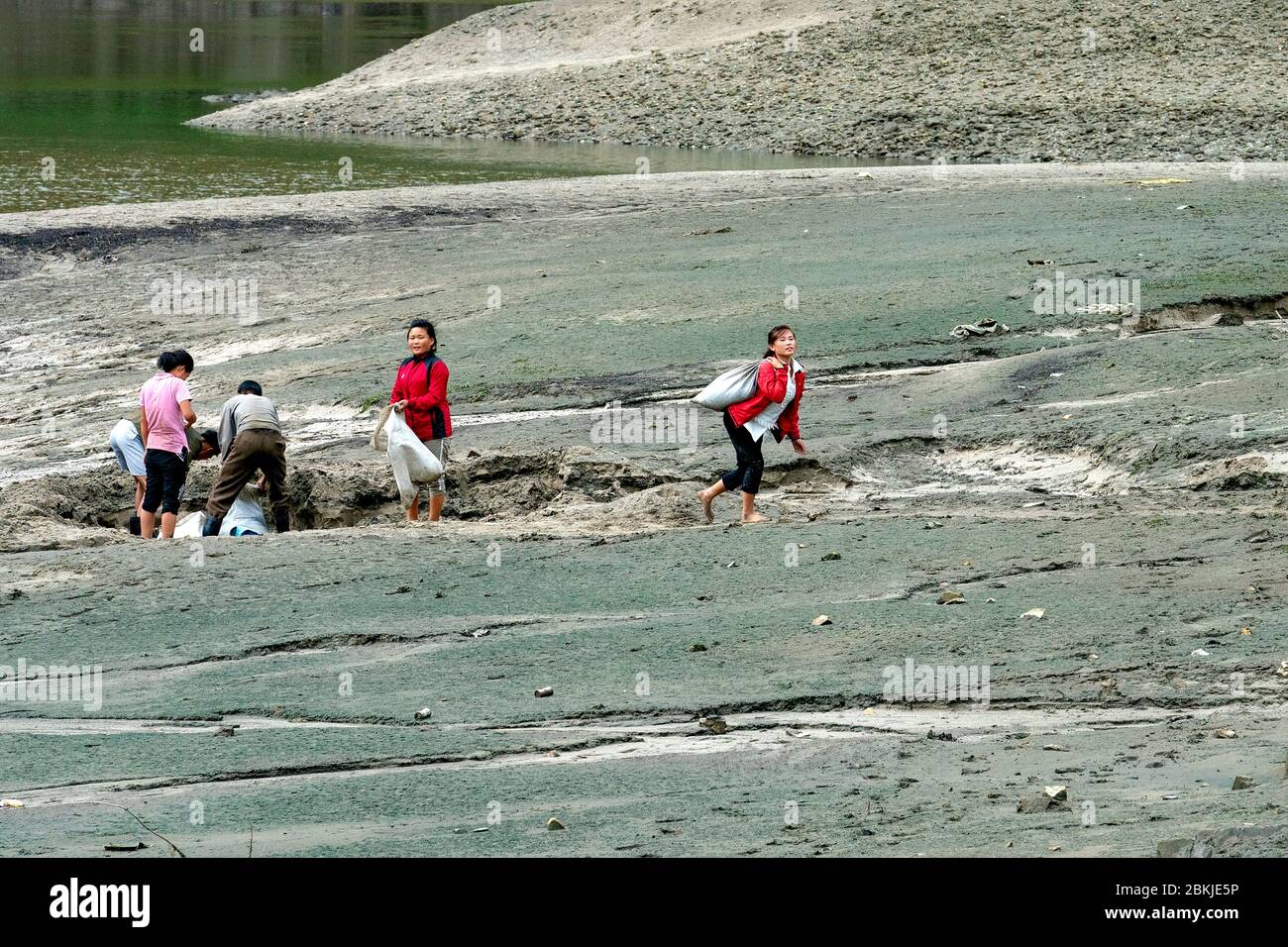 Corea del Nord, Lago di Sampyong, raccogliendo suolo buono Foto Stock