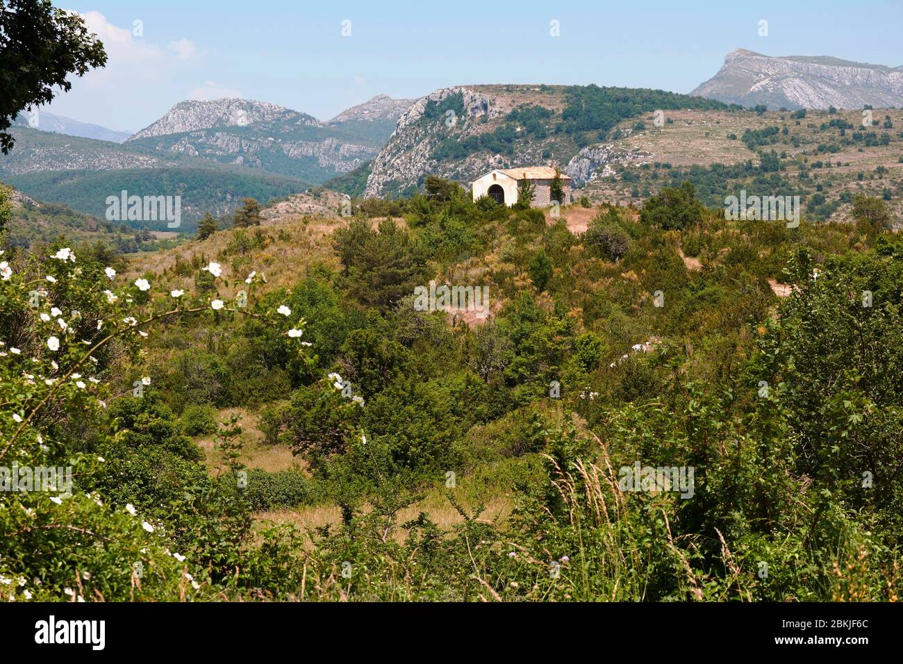 Francia, Var, Dracenie, Comps sur Artury, campo militare Canjuers, il più grande campo di tiro in Europa occidentale Foto Stock