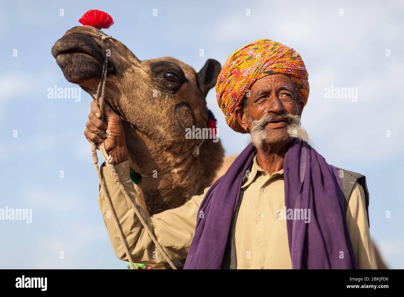 India, Rajasthan, Nagaur, ritratto di un uomo con baffi e il suo cammello Foto Stock