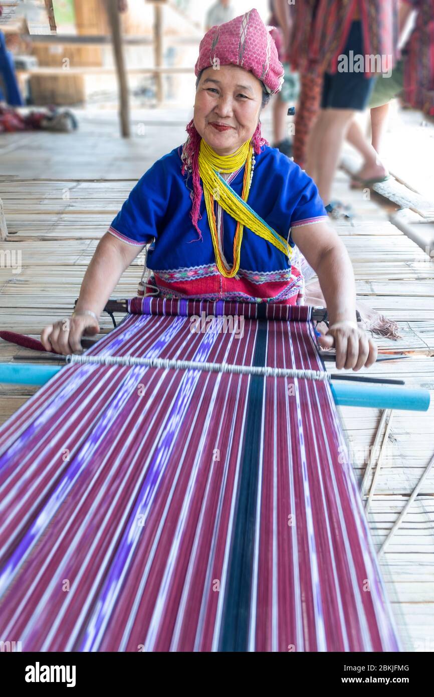 Thailandia, provincia di Chiang mai, nel campo degli elefanti selvatici, donna di etnia tailandese sul primo apparire Foto Stock