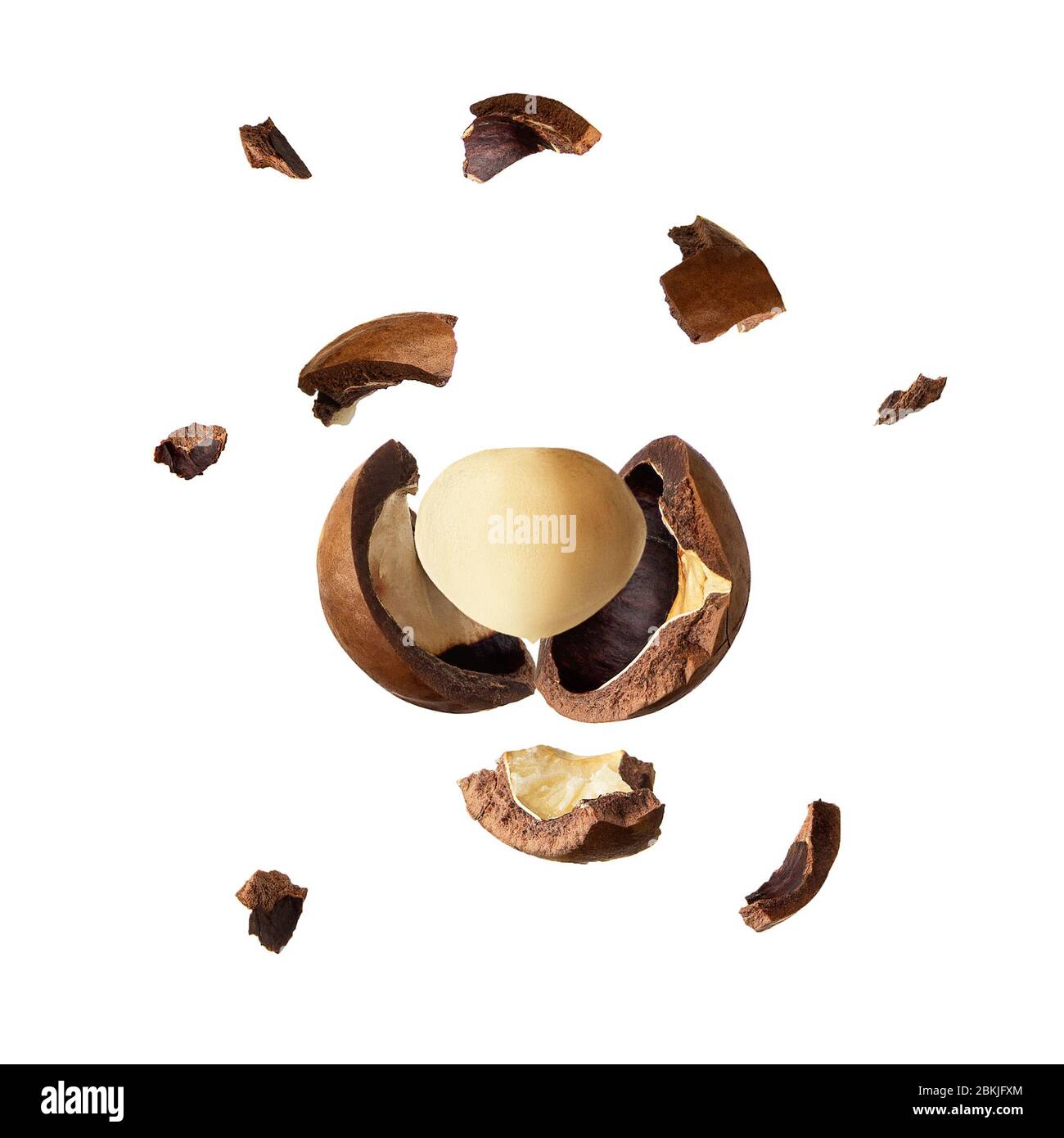 dado macadamia schiacciato Foto Stock