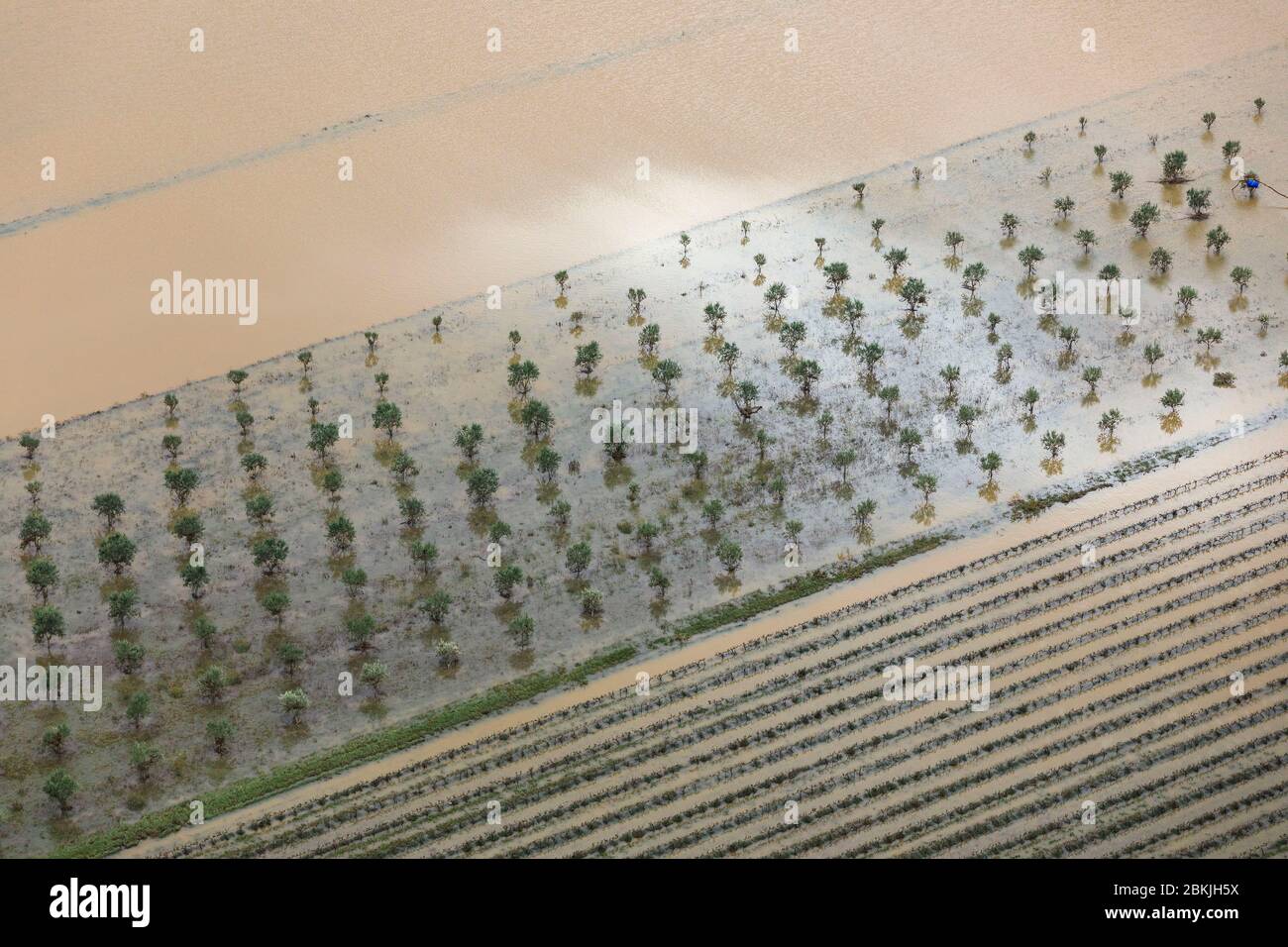Francia, Var, Roquebrune sur Argens, alluvione lunedì 25 novembre 2019, trabocco del fiume costiero di Argens, olivi (vista aerea) Foto Stock