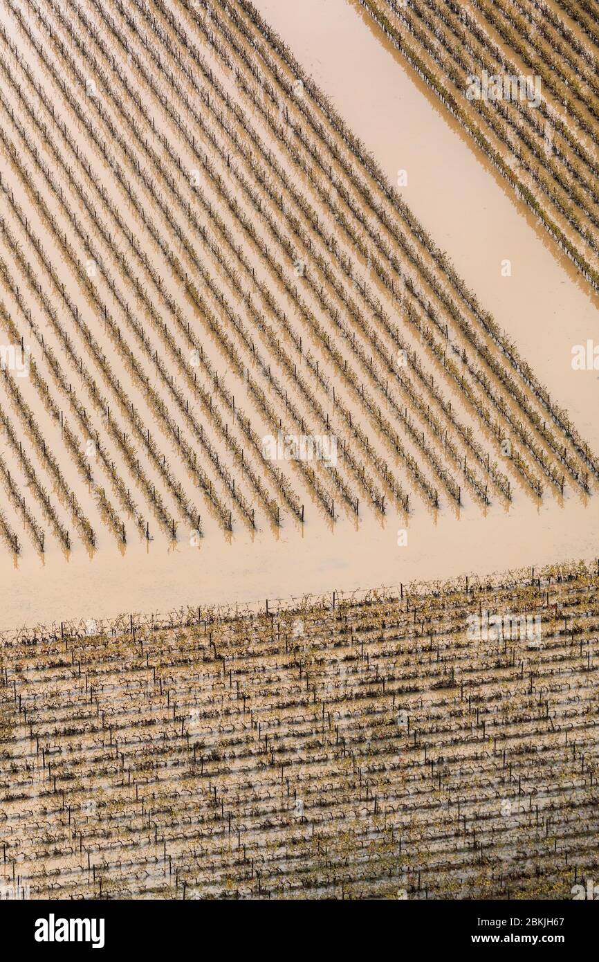 Francia, Var, Roquebrune sur Argens, alluvione lunedì 25 novembre 2019, trabocco del fiume costiero di Argens, allagamento della vite (vista aerea) Foto Stock
