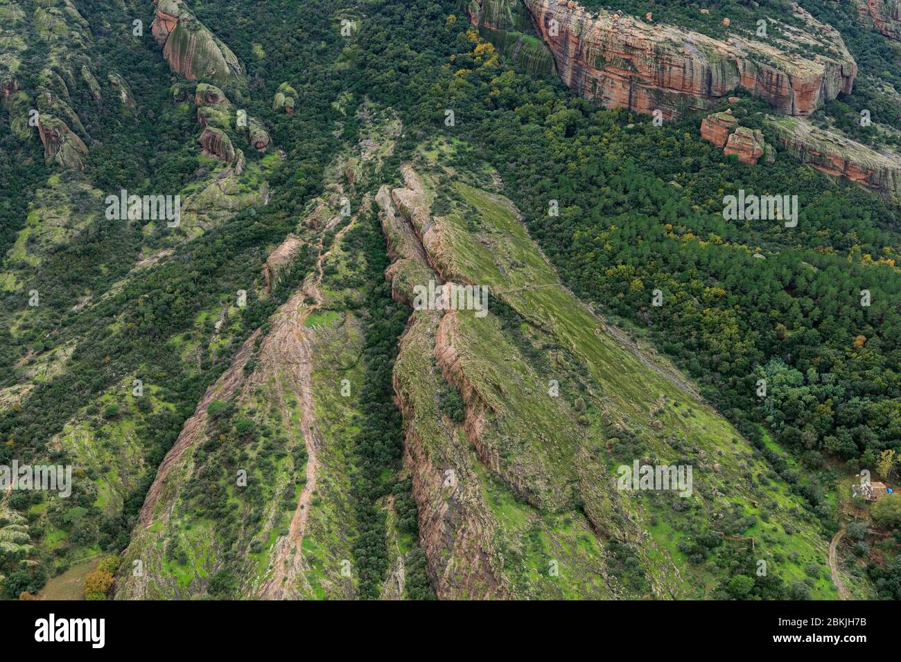 Francia, Var, Roquebrune sur Argens, la roccia di Roquebrune (vista aerea) Foto Stock
