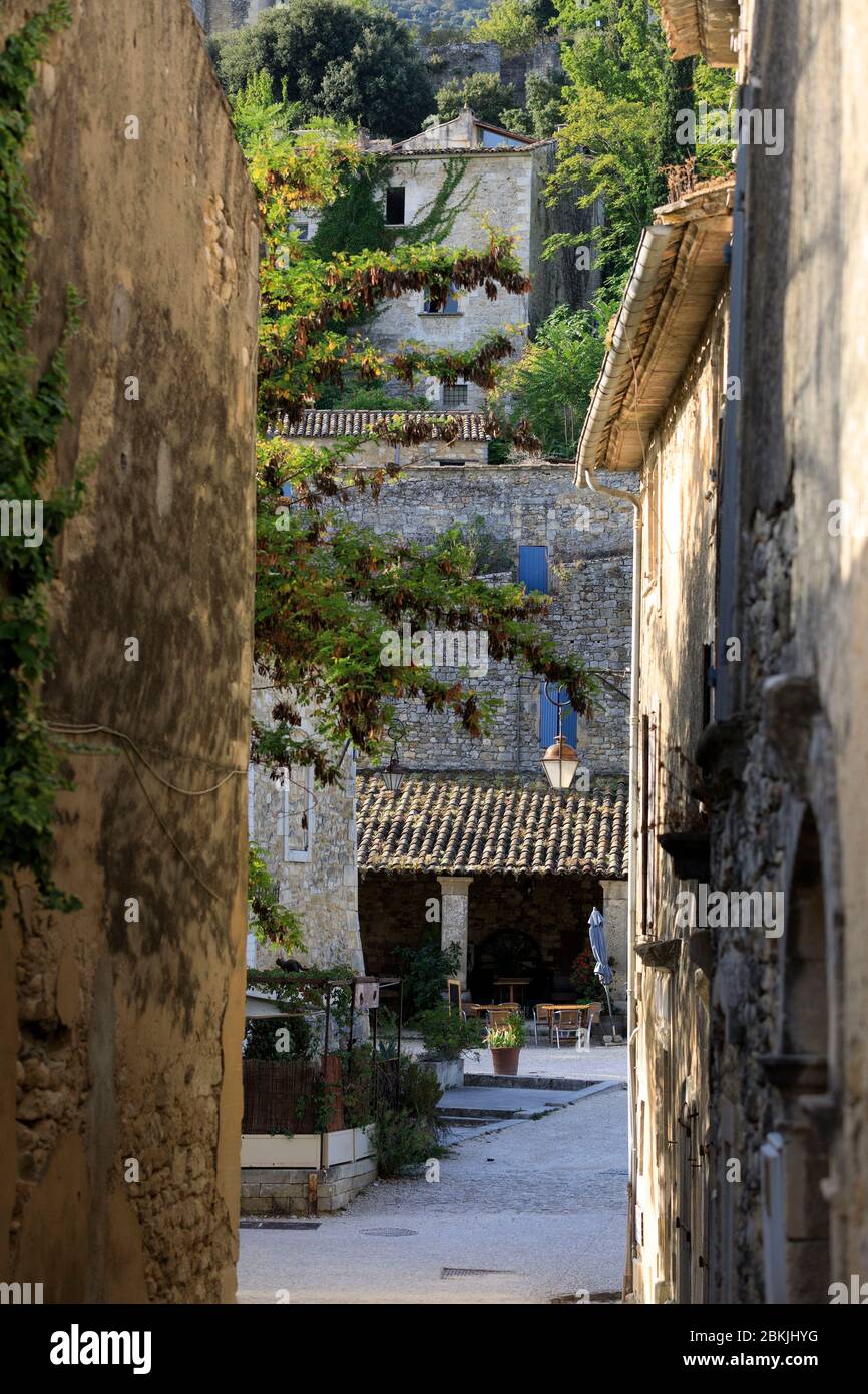 Francia, Vaucluse, parco naturale regionale del Luberon, Opede le Vieux, rue de Sainte Cecile Foto Stock