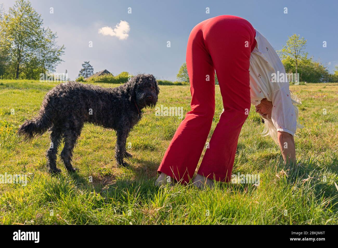 Europa, Lussemburgo, Insenborn, attraente donna anziana che esegue la posizione verso il basso Dog Yoga con il suo cane portoghese acqua Foto Stock