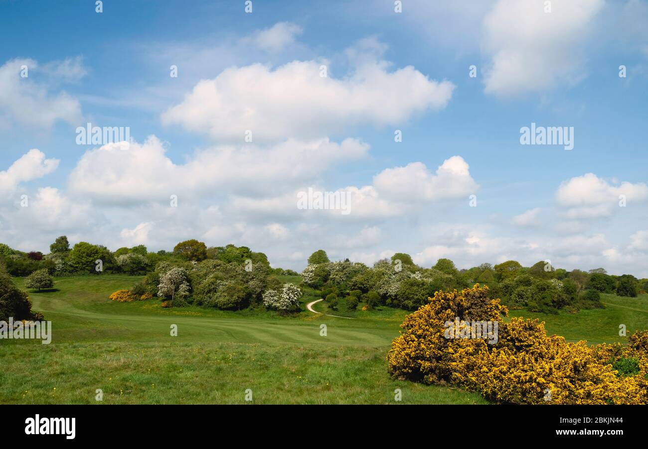 Campo da golf in primavera ora privo di persone a causa di epidemia di Corona virus e dopo il decreto governativo ordine chiuso. Foto Stock