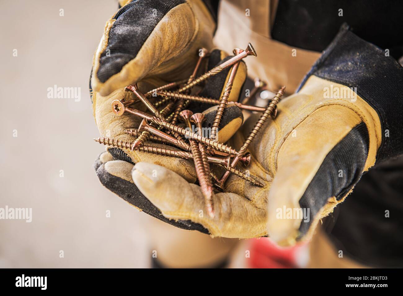 Uomo in guanti che tiene le viti Golden Wood in mano. Foto Stock