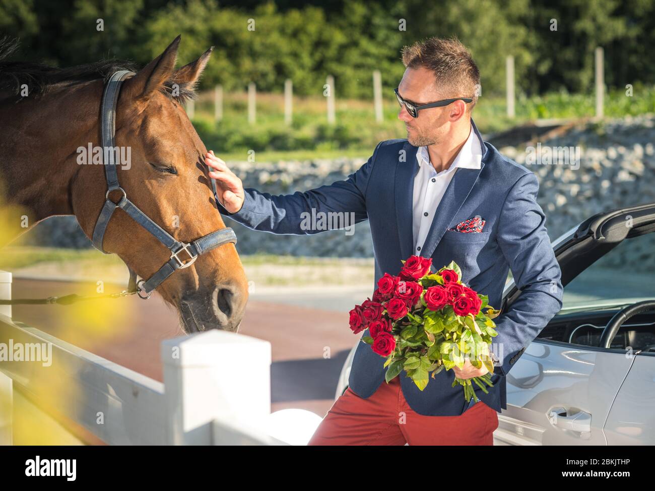 Ricco uomo caucasico ben vestito che tiene il mazzo di rose rosse e cavallo da petting. Foto Stock