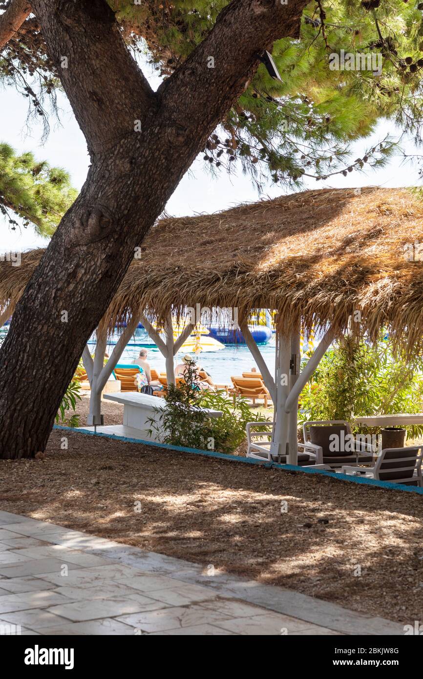 Bol sull'isola di Brac con un grazioso bar sulla spiaggia e un grande albero di pino. Un sentiero vicino al mare in una giornata di sole in estate in Dalmazia, Croazia. Blu chiaro Adria Foto Stock