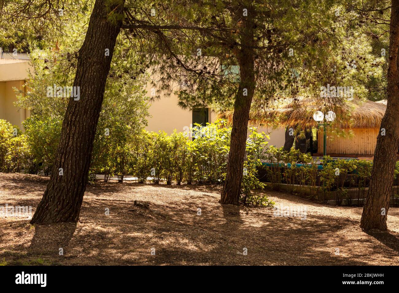 Un sentiero a piedi, parco a Bol in Dalmazia, Croazia con vegetazione e alberi in una giornata di sole in estate. Sereno paesaggio idilliaco fuori, destinazione di vacanza Foto Stock