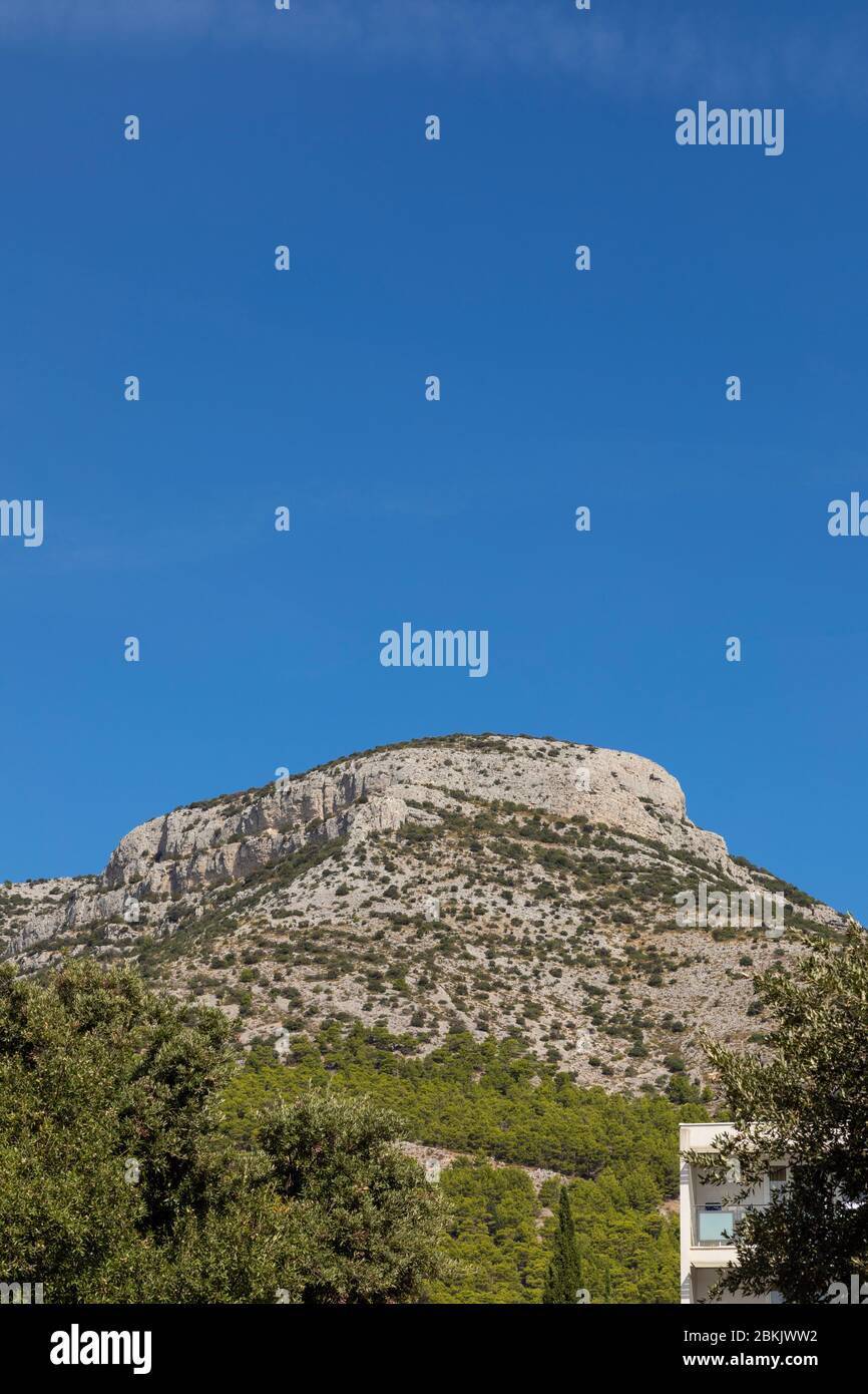 Una montagna con rocce e vegetazione e alberi a Bol, Dalmazia, Croazia durante l'estate e un cielo blu. Costa mediterranea, colori luminosi, ripresa verticale Foto Stock