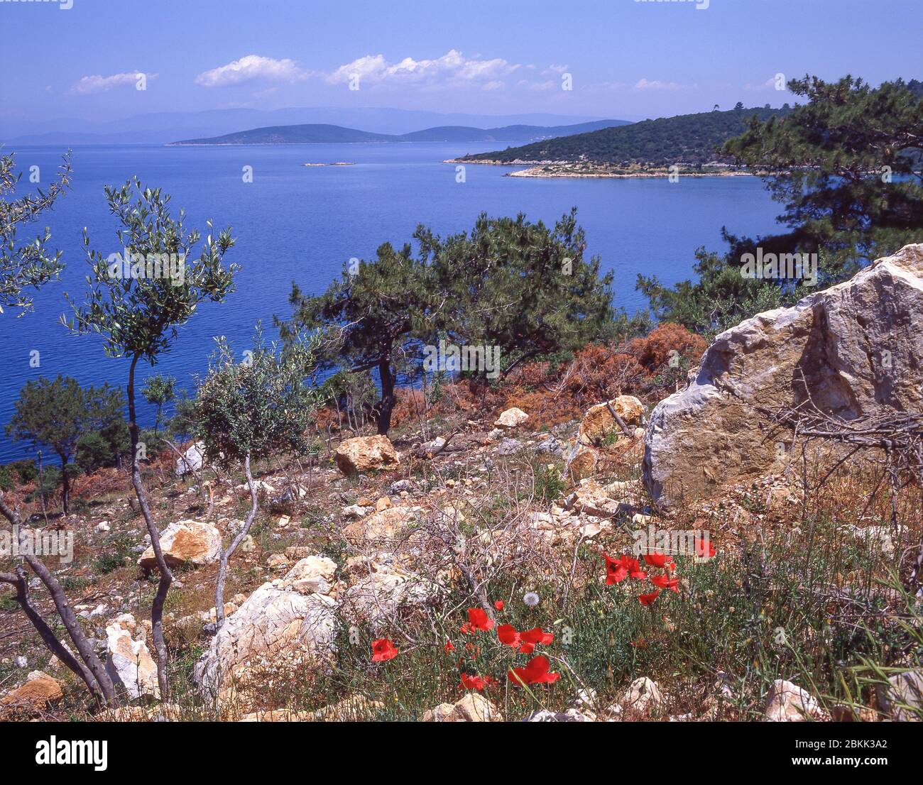 Vista costiera, vicino Bodrum, provincia di Mulga, Repubblica di Turchia Foto Stock