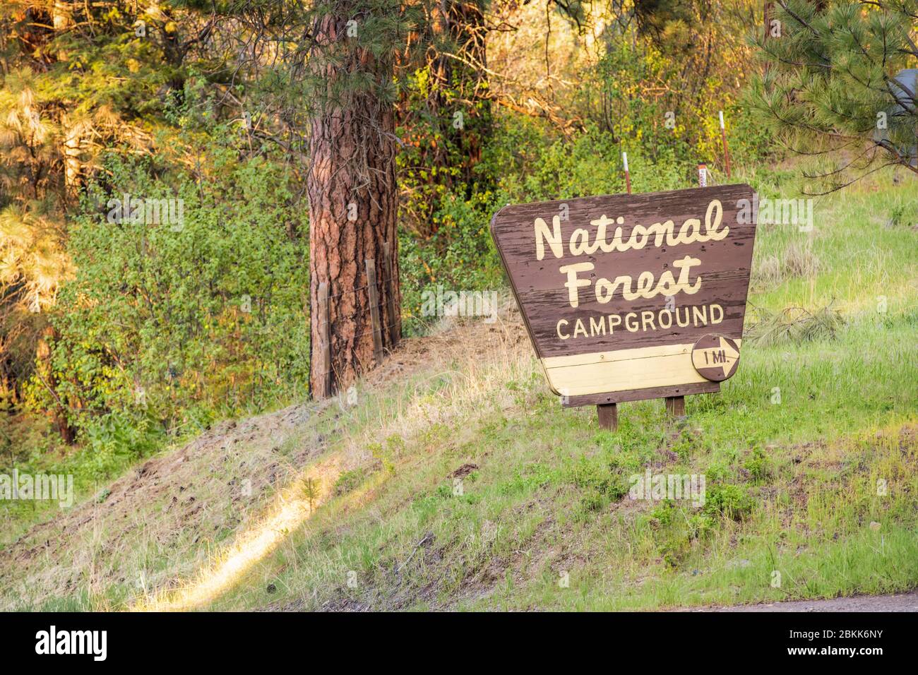 Cartello indicante un campo forestale nazionale Groun Foto Stock