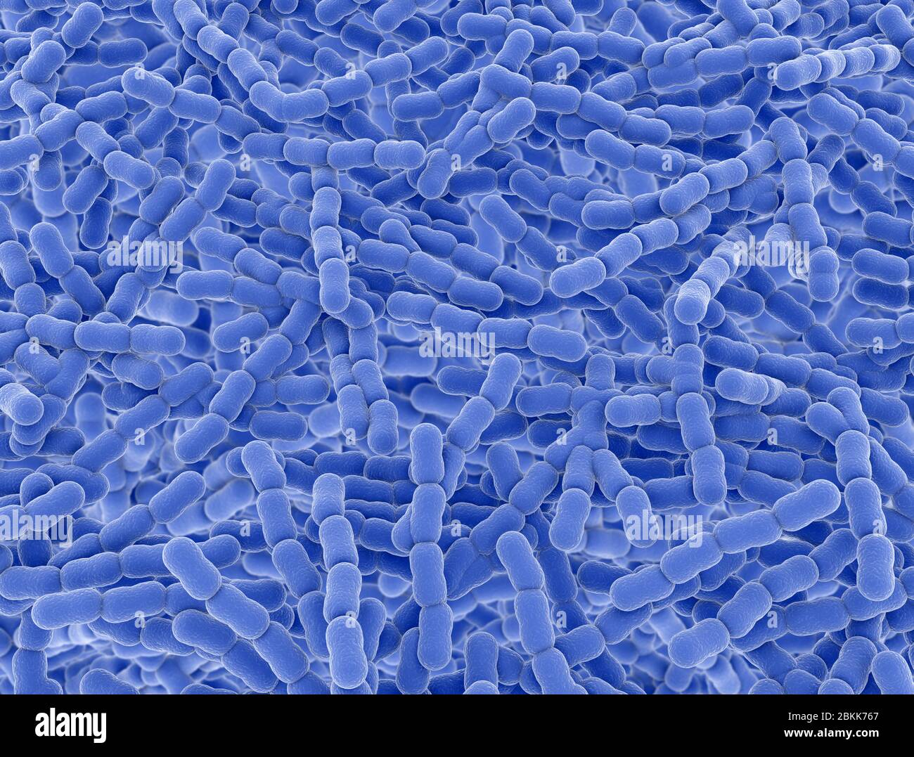 Cellule batteriche di Streptococcus pneumonia. Sfondo del rendering 3D microscopico Foto Stock