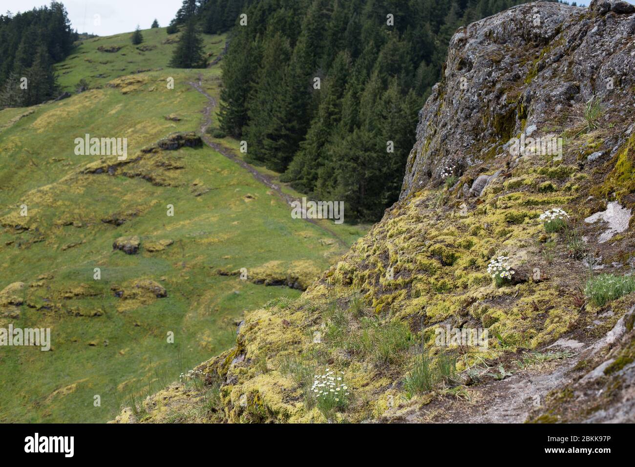 Vista dalla cima di Horse Rock Ridge vicino a Crawfordsville, Oregon, Stati Uniti. Foto Stock