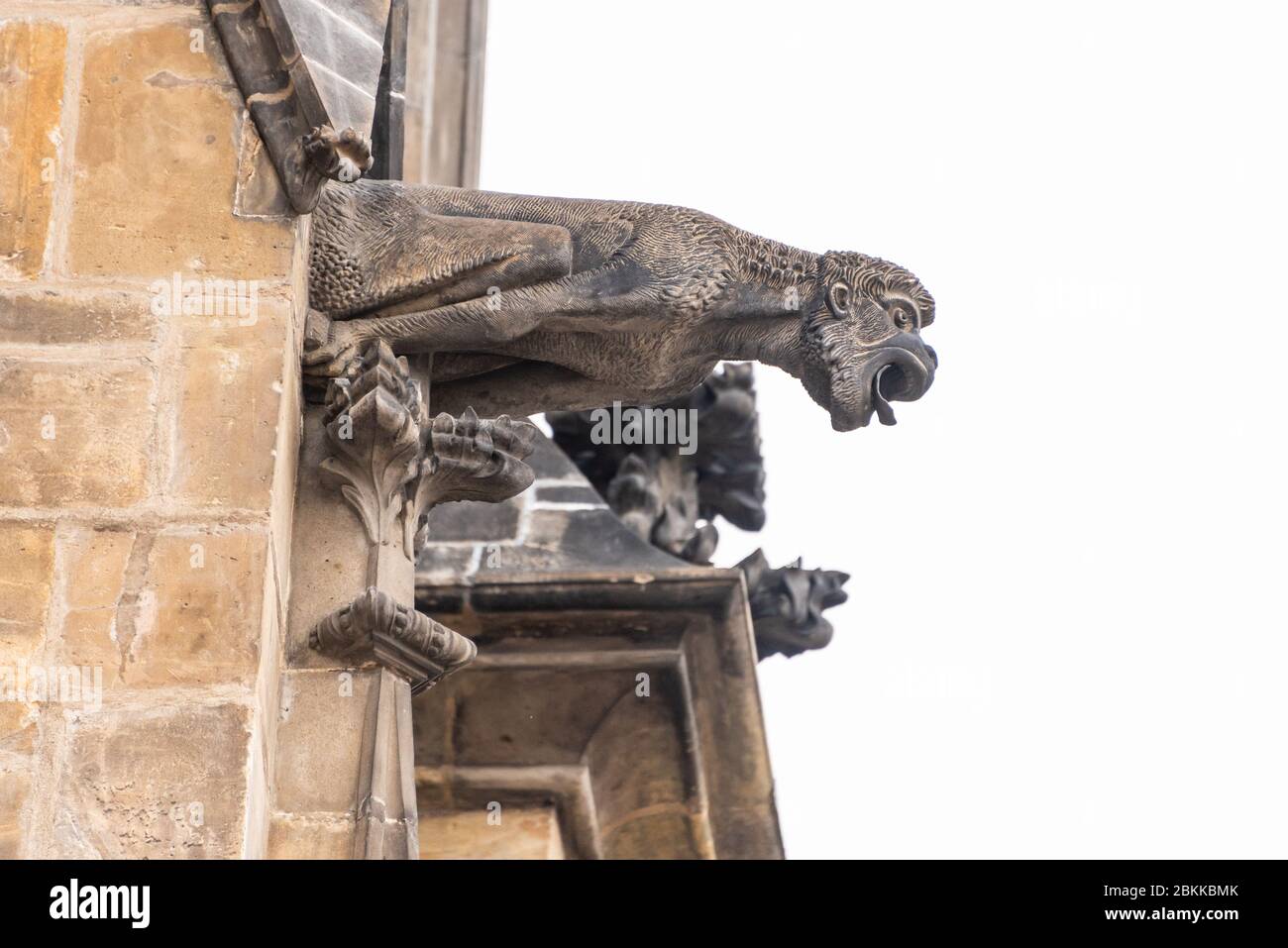 Praga, Repubblica Ceca - Agosto 17,2019: Vista ravvicinata della gargoyle nella chiesa Cattedrale di Vito Sacro. Il gargoyle è un beccuccio altamente decorativo, al Foto Stock