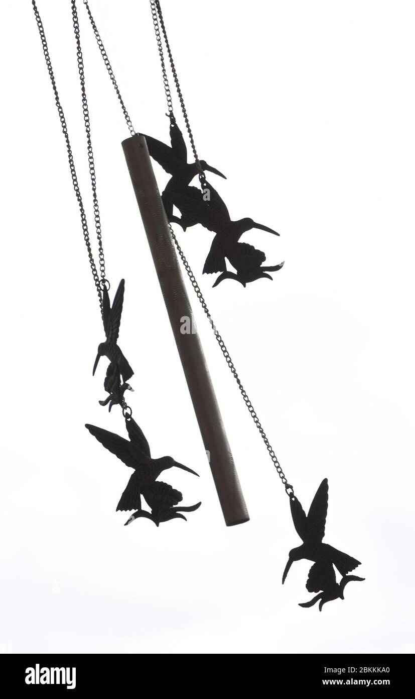 Il vento suona con un colibrì sul disegno del fiore soffia nel vento Foto Stock