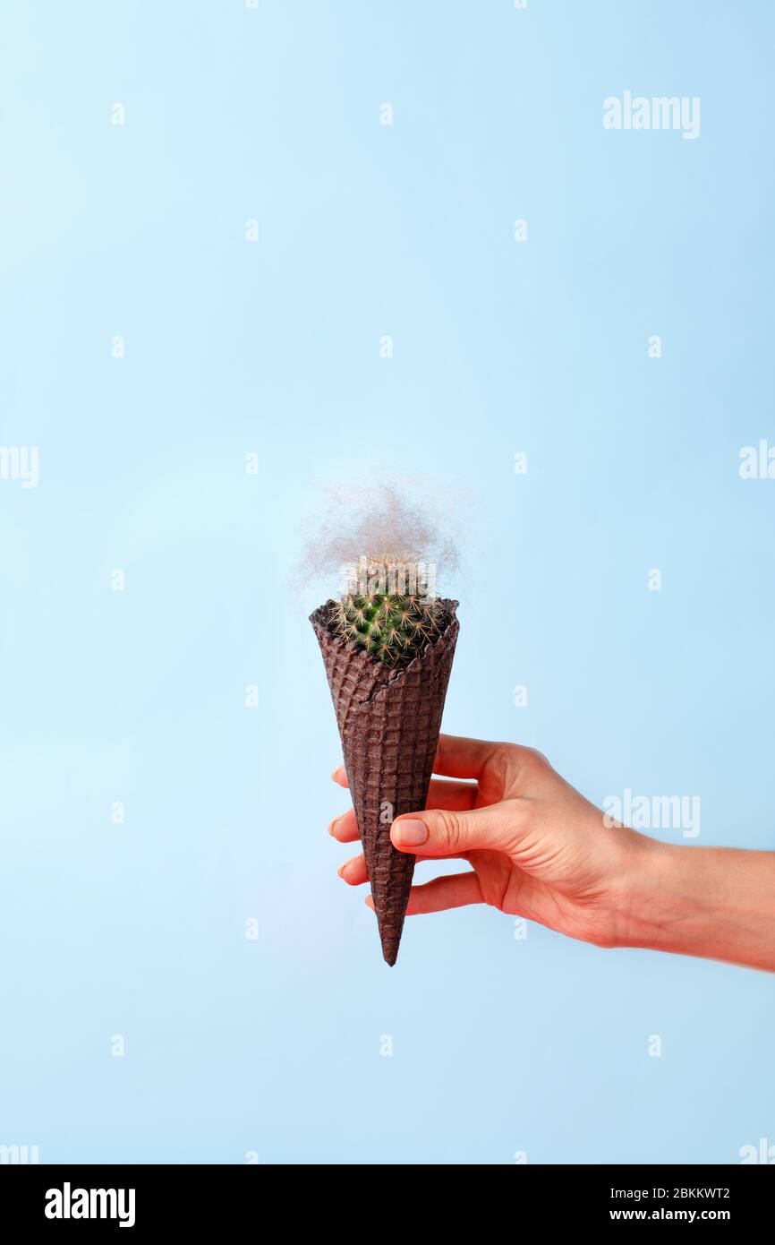 Collage d'arte contemporanea. Concept gelato Cactus con capelli su sfondo blu. Banner stagione estiva minimal, spazio copia, dieta depilate capelli rimuovere c Foto Stock