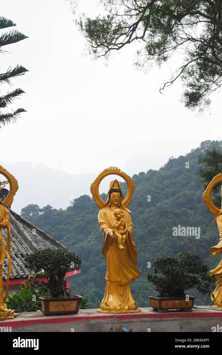 Uomo grasso Sze Monastero di Ten Thousand Buddha, 220 Pai Tau Village, Sha Tin, Hong Kong Gold Buddha statue buddista buddismo buddista architettura culto Foto Stock