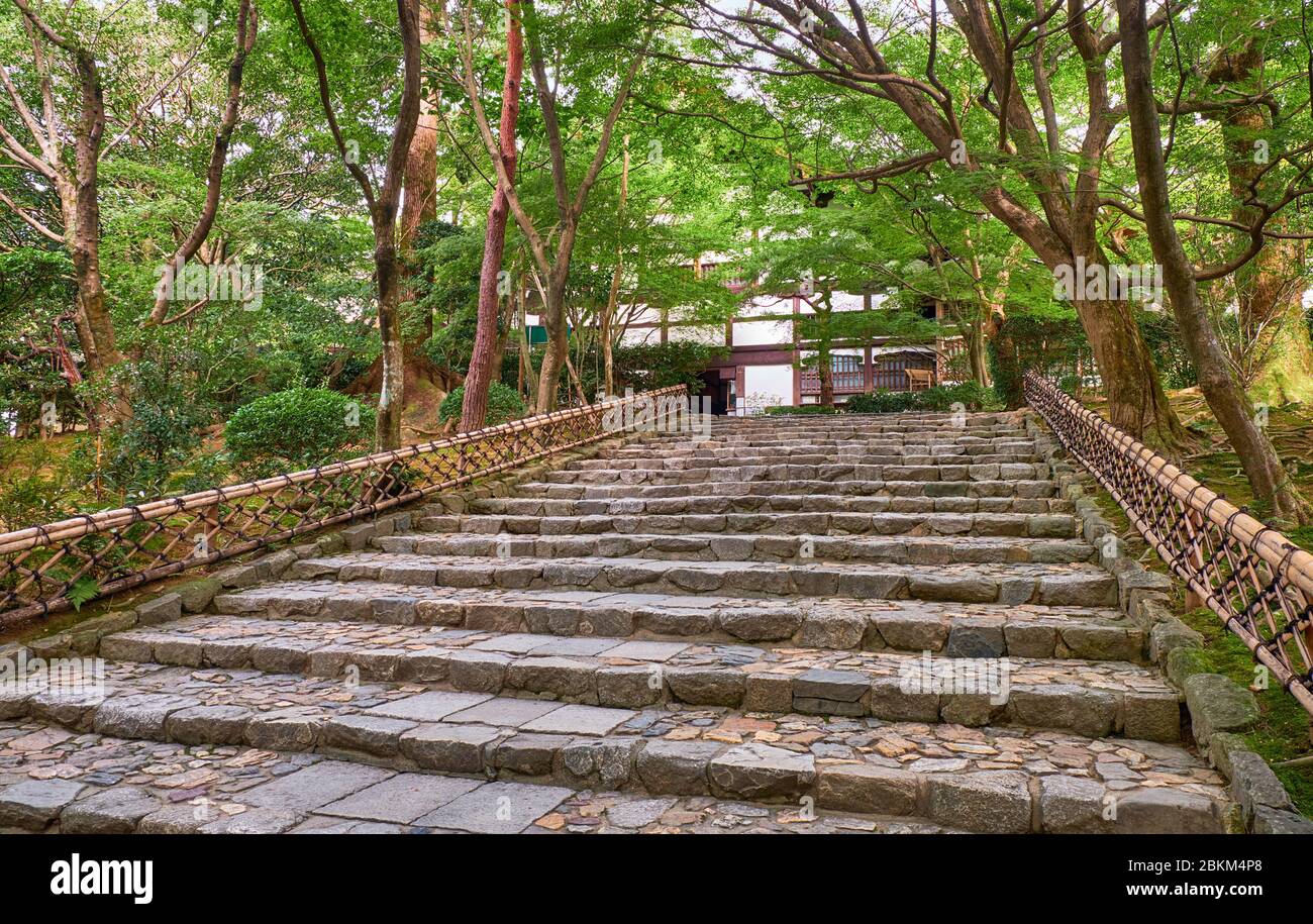 I gradini in pietra che conducono attraverso la foresta al Kuri, l'ex cucina del tempio, che ora serve come l'ingresso principale del tempio della temperatura Ryoan-ji Foto Stock