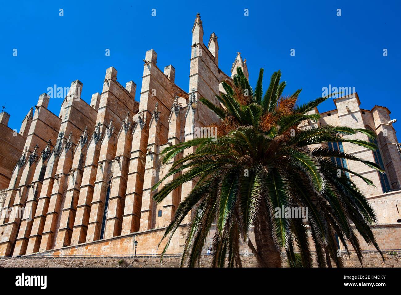 Cattedrale, Palma di Maiorca, Isole Baleari, Spagna Foto Stock