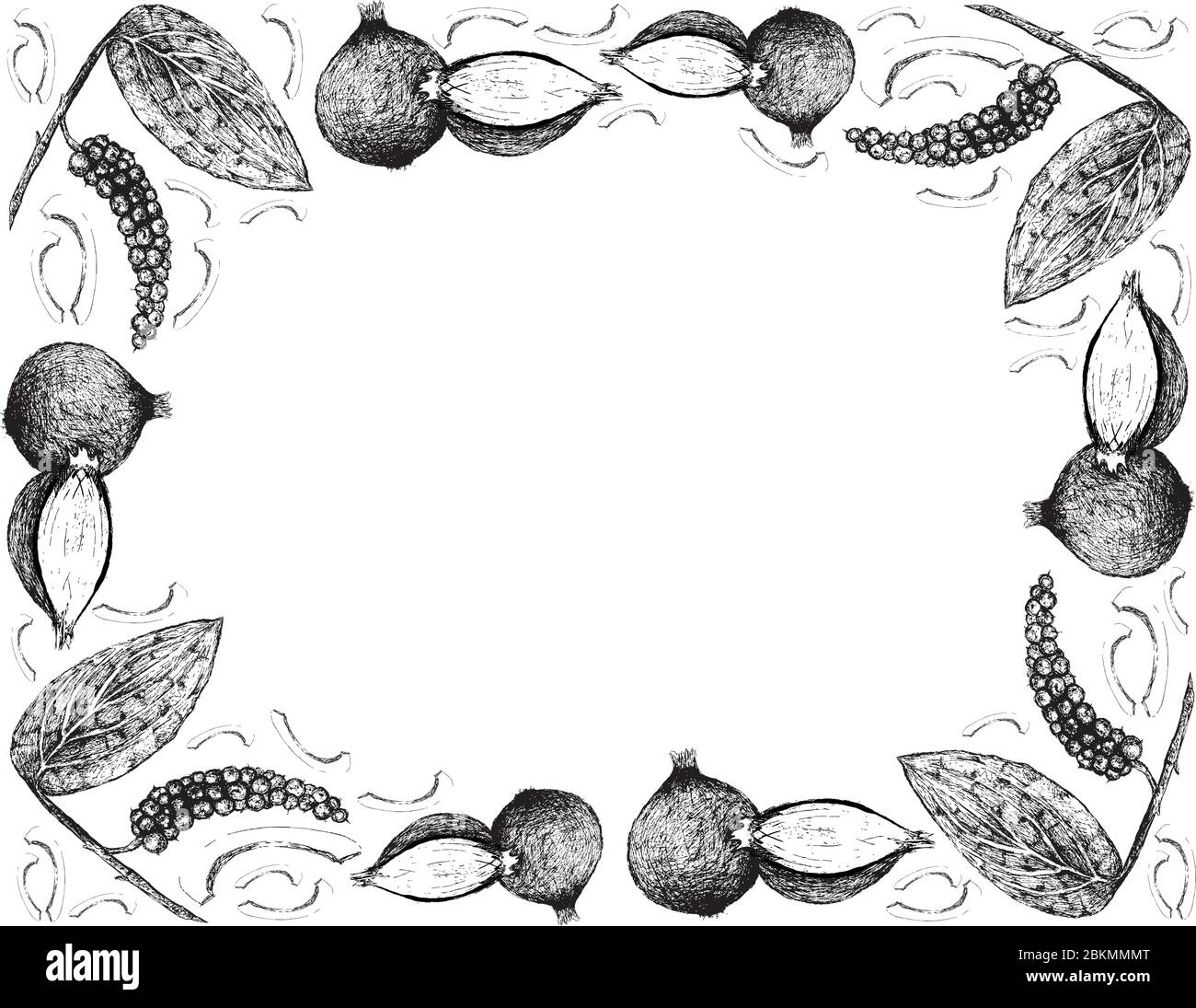 Piante di erbe, telaio di illustrazione di disegno disegnato a mano di pepe nero o Peppercorn con gli scalogni, gli cipolle spagnoli, o gli cipolle rossi, usati per il condimento Illustrazione Vettoriale