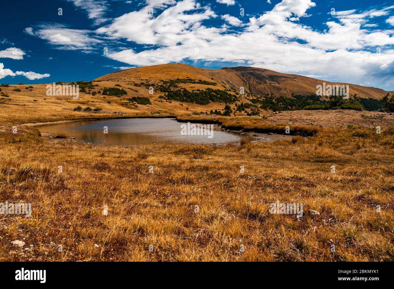 11,320ft elevazione attorno al lago Forest Canyon passare sul vecchio Ute Sentiero nel Parco Nazionale delle Montagne Rocciose. Colorado, Stati Uniti d'America. Foto Stock