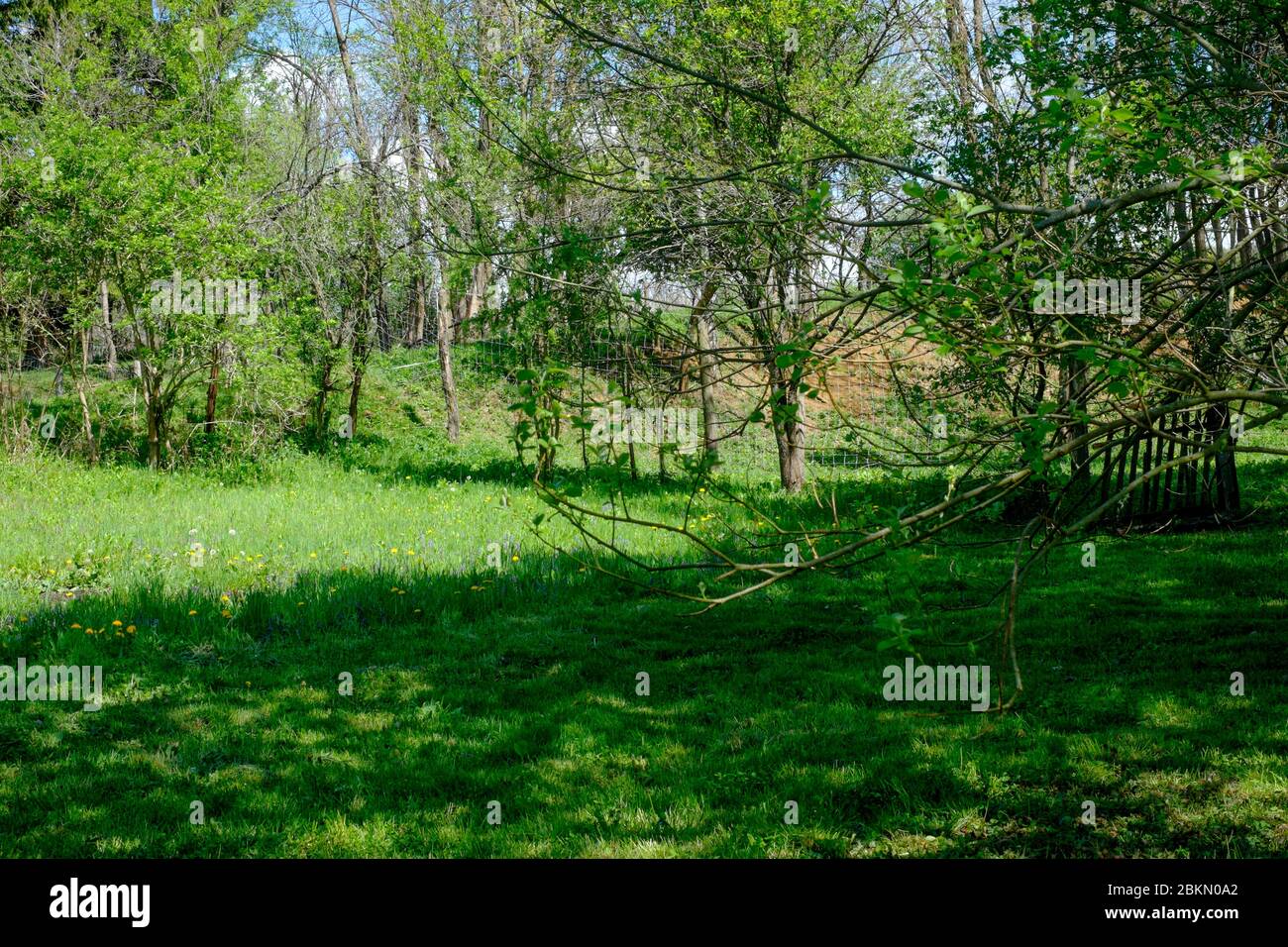 angolo non tagliato di un giardino rurale a sinistra per crescere selvatico per proteggere i fiori e la fauna selvatica in zala rurale contea ungheria giardino Foto Stock