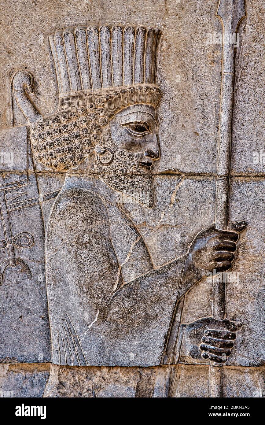 Bassorilievo di un guerriero persiano al Palazzo Apadana, Persepolis Foto Stock