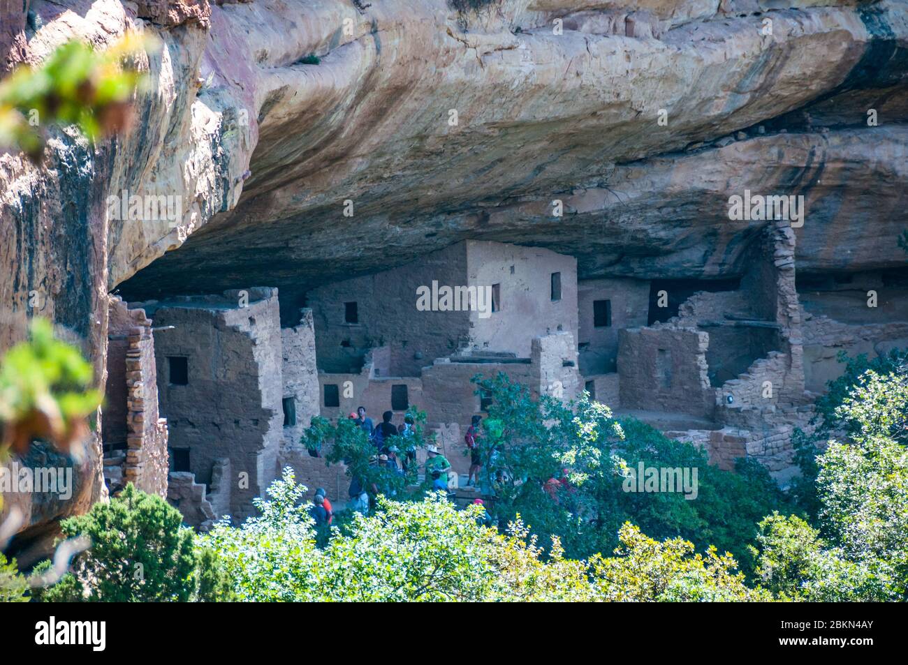 Spruce Tree House vista da Petroglyph Loop Trail, Mesa Verde National Park, COLORADO, Stati Uniti d'America. Foto Stock