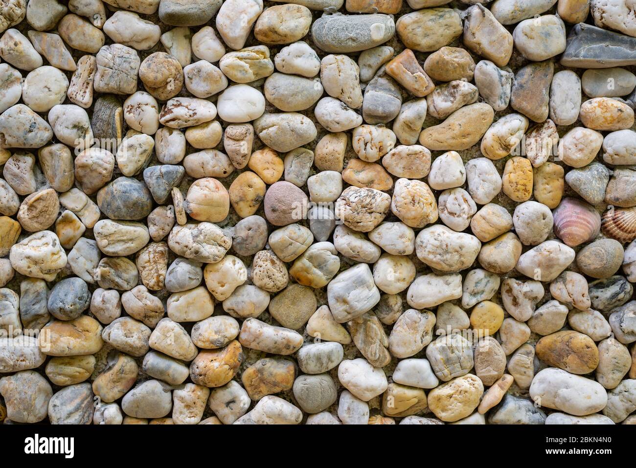 Immagine a colori orizzontale con vista frontale di una struttura di un muro fatto di pietre di mare Foto Stock