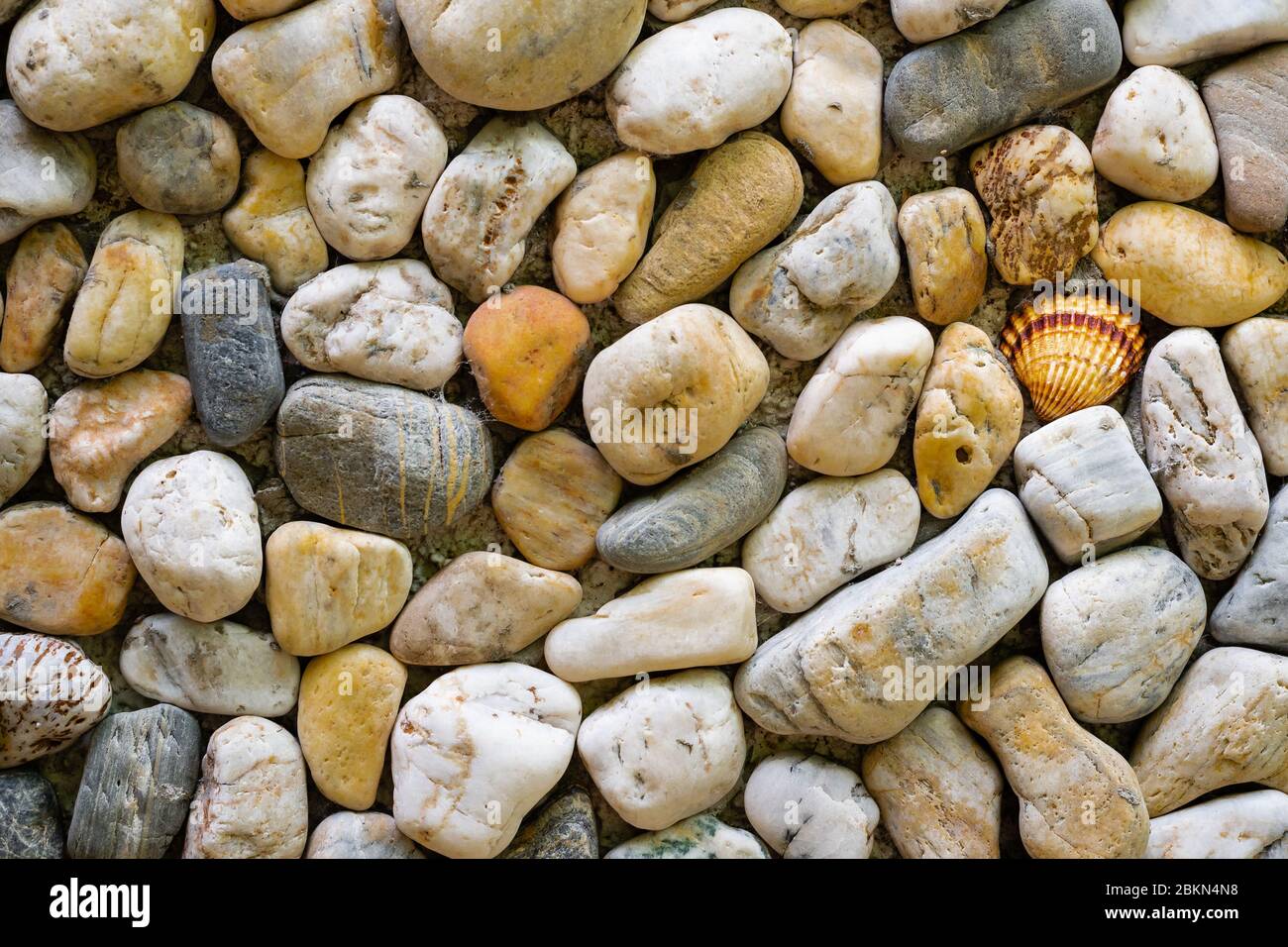 Immagine a colori orizzontale con vista frontale di una struttura di un muro di pietre di mare con una conchiglia al centro Foto Stock