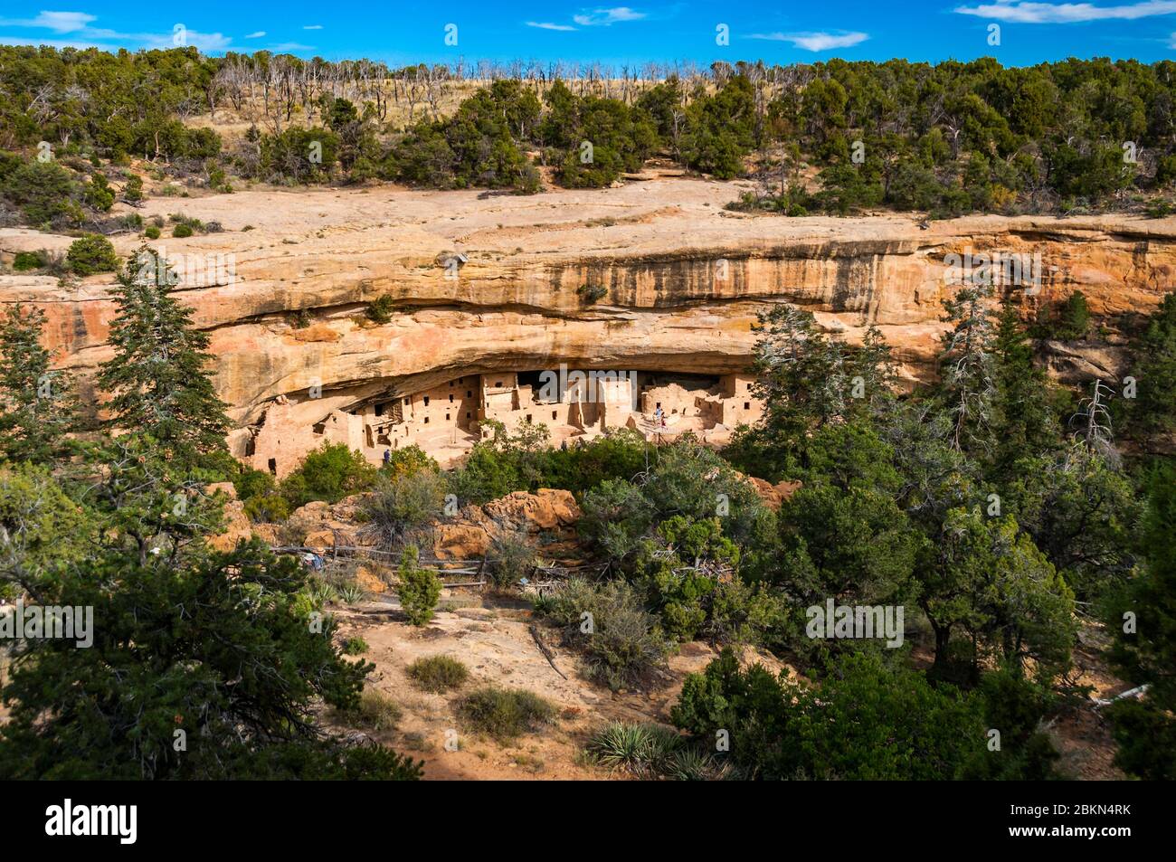 Spruce Tree House site visto dalla parte superiore del percorso. Il Parco Nazionale di Mesa Verde, Colorado, Stati Uniti d'America. Foto Stock