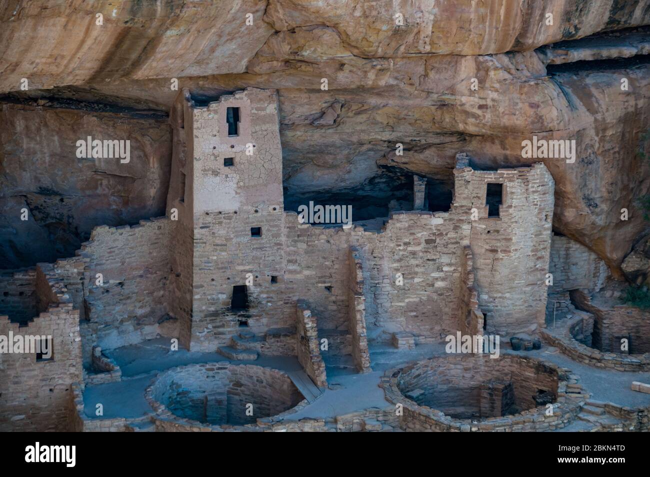 Edifici in Falesia Palace, Mesa Verde National Park. Colorado, Stati Uniti d'America. Foto Stock