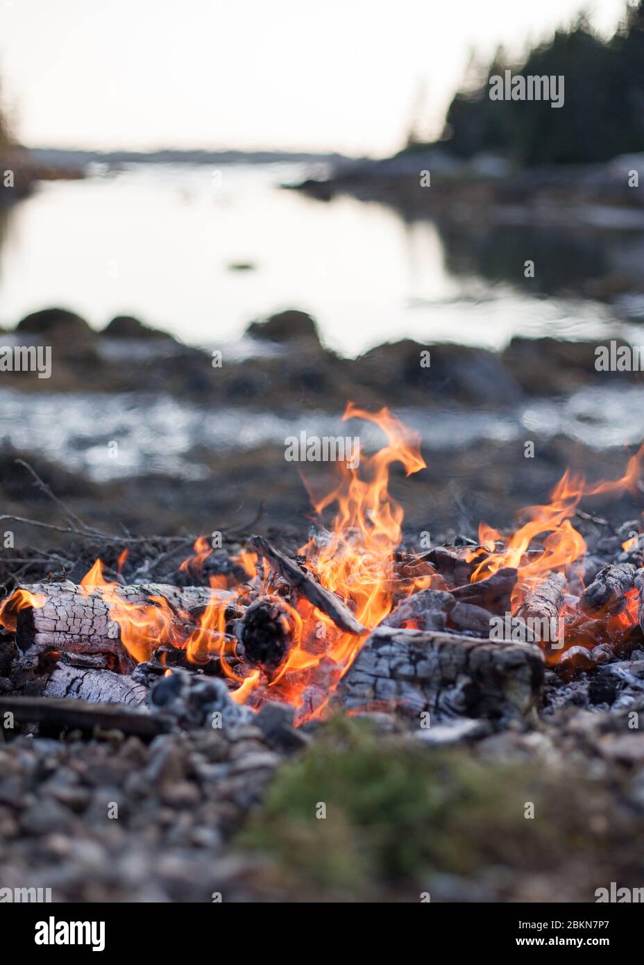 Un fuoco brucia su una spiaggia vicino ad una piccola insenatura, con alberi sempreverdi sullo sfondo e una luce di fine pomeriggio che si affievolisce, Vinalhaven, Maine, USA Foto Stock