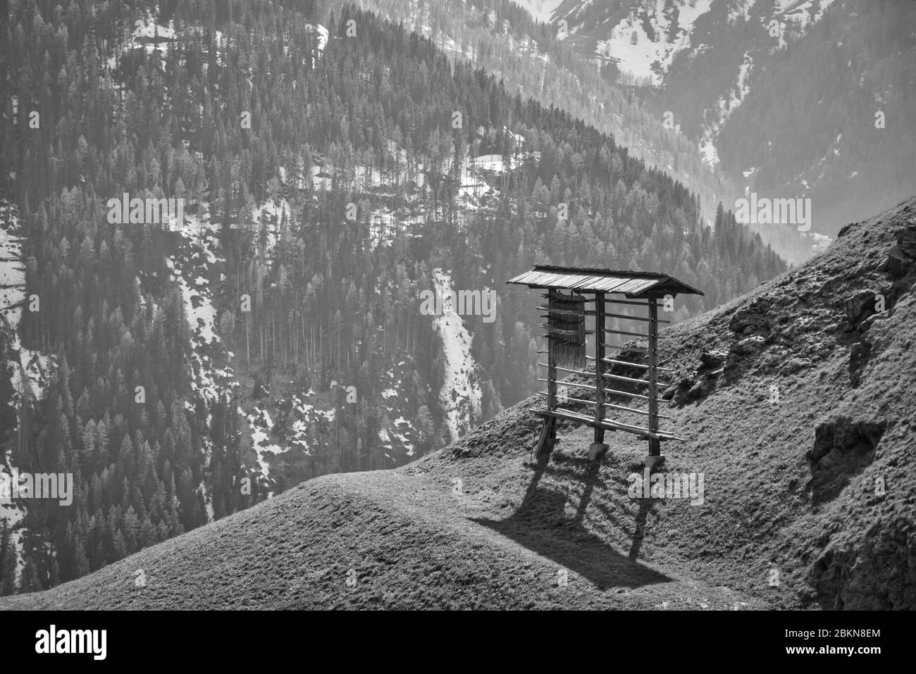 Innervillgraten, Villgraten, Osttirol, Frühling, Villgrater Berge, Deferegger Alpen, Bergbauernhof, Landwirtschaft, Kulturland, Weide, Wiese, Hang, BE Foto Stock