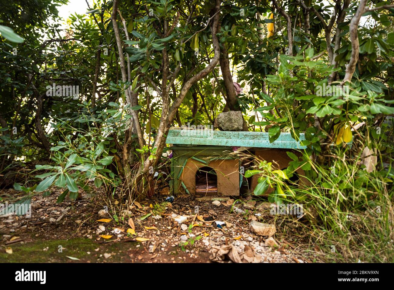 Rifugio per gatti randagi fatto da volontari nel centro di Dubrovnik, Dalmazia, Croazia. Cat hotel composto da legno e materiali di scarto Foto Stock