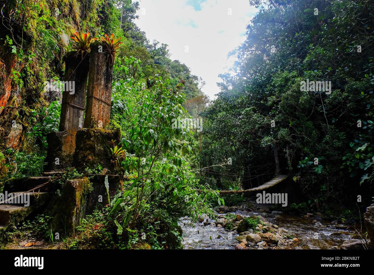 Vecchio ponte sospeso in legno nella giungla della Colombia Foto Stock