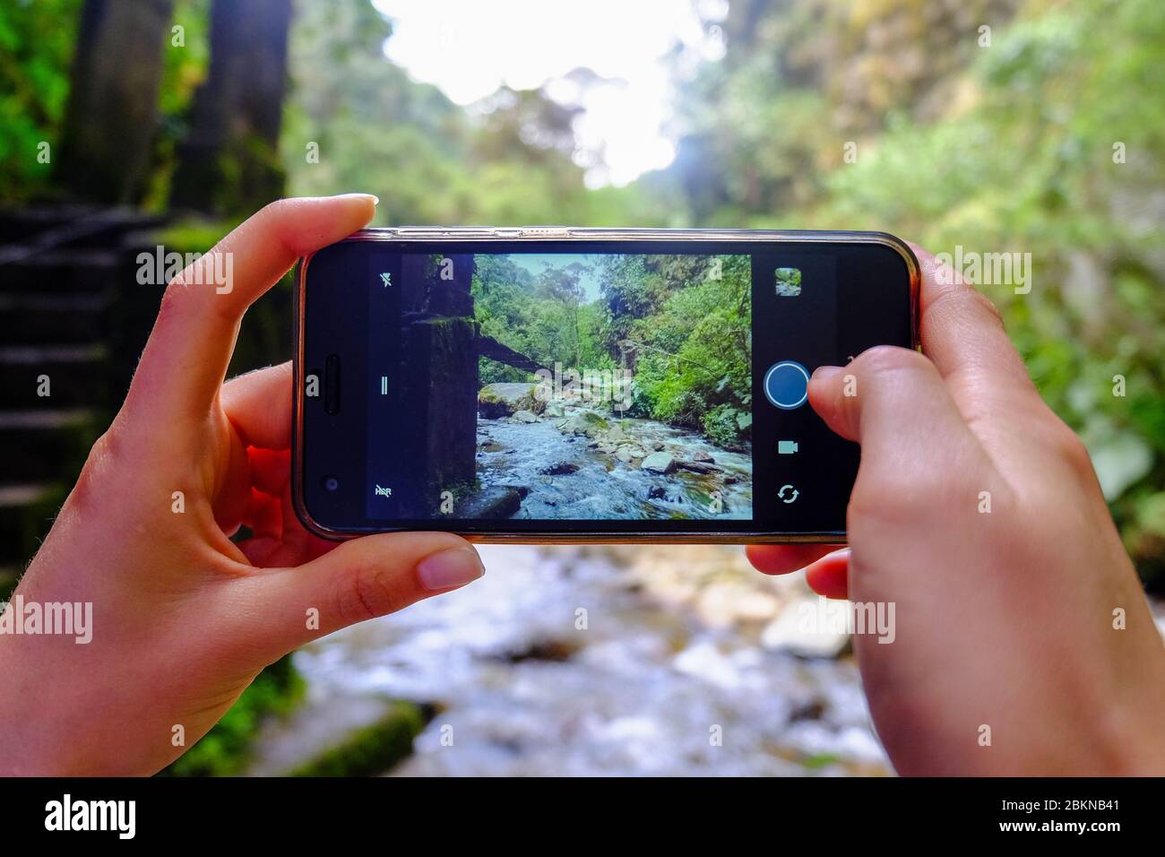 Guarda attraverso una fotocamera per smartphone in un ponte sospeso nella giungla della Colombia Foto Stock