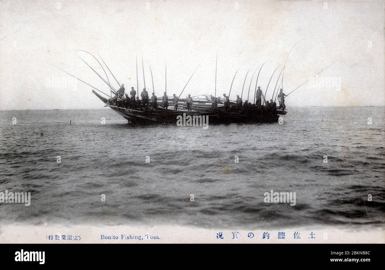 [ 1900 Giappone - pescatori giapponesi al lavoro ] - Bonito pesca al largo della costa della prefettura di Kochi sull'isola di Shikoku. cartolina vintage del xx secolo. Foto Stock