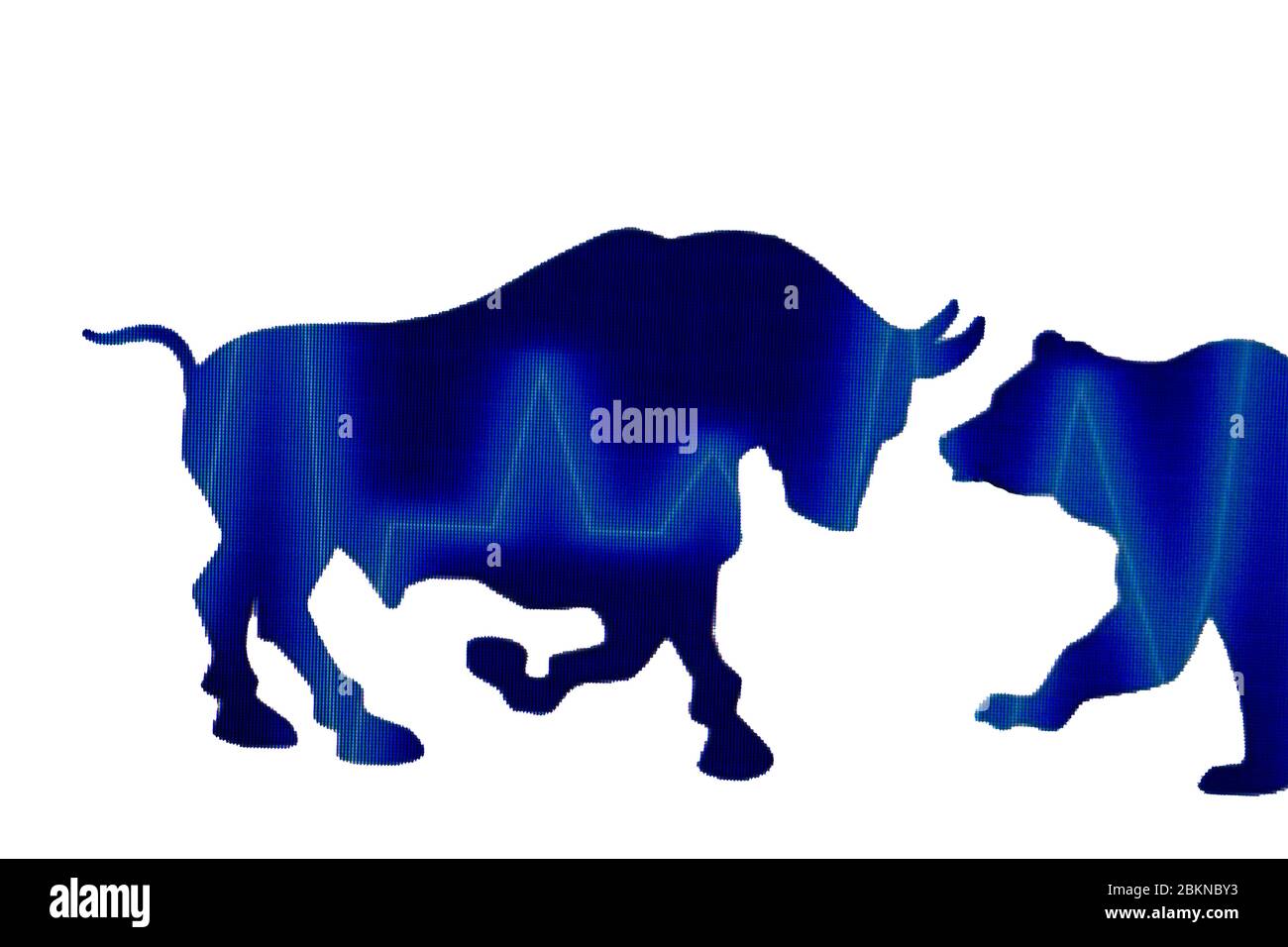 blu bull isolato su sfondo bianco . Foto Stock