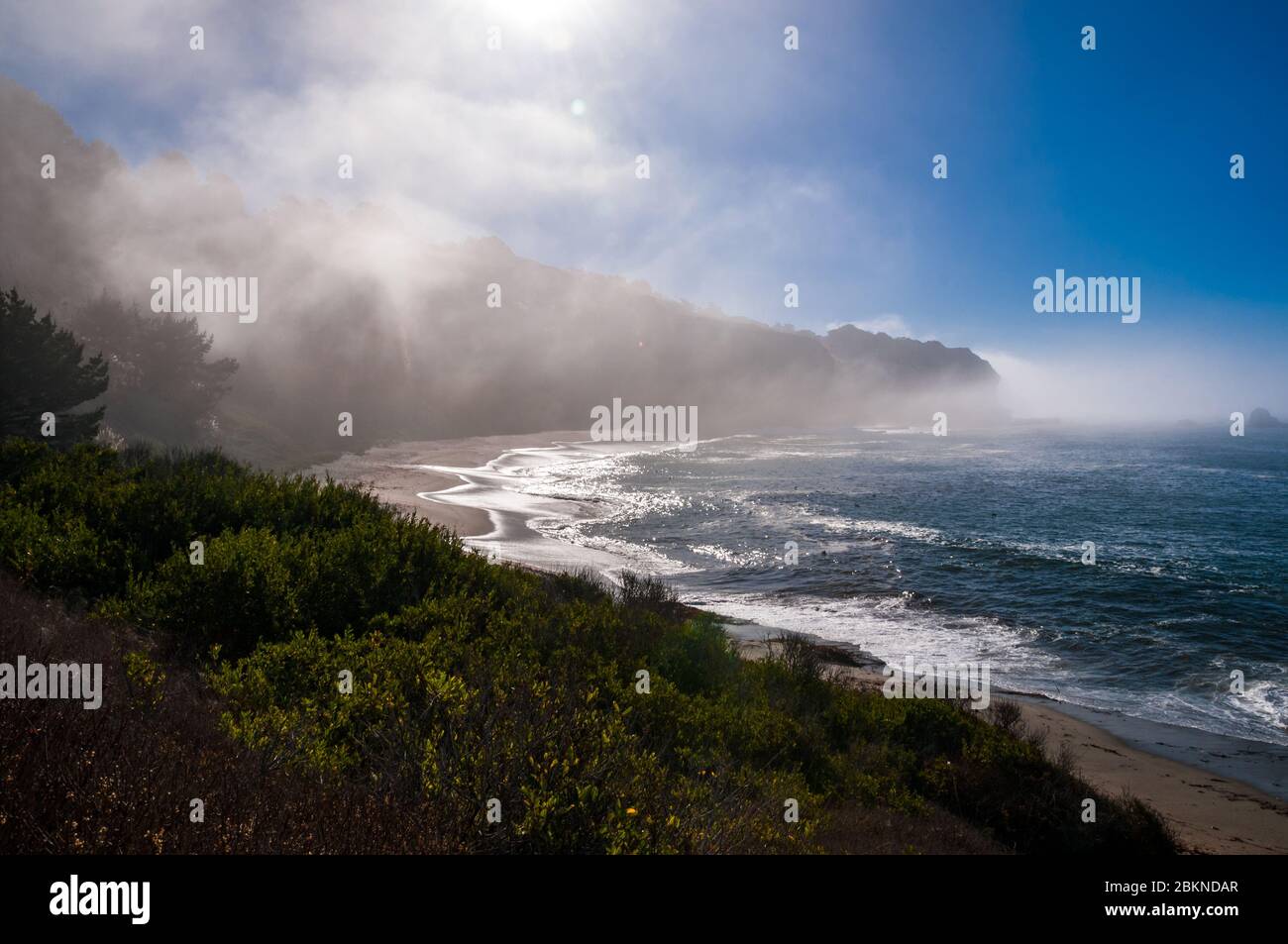 Di prima mattina nebbia del mare su una baia di Monterey beach sulla autostrada 1, California, Stati Uniti d'America. Foto Stock