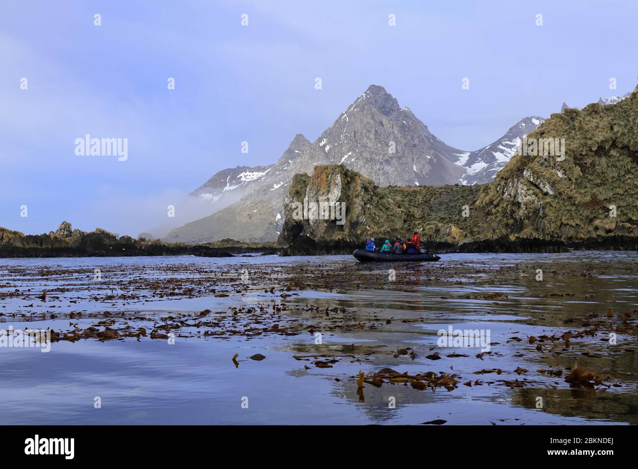 Gruppo di turisti che navigano in uno zodiaco, Undine Harbour, Georgia del Sud, Georgia del Sud e le isole Sandwich, Antartide Foto Stock Gruppo di turisti che navigano in uno zodiaco, Undine Harbour, Georgia del Sud, Georgia del Sud e le isole Sandwich, Antartide Foto Stock