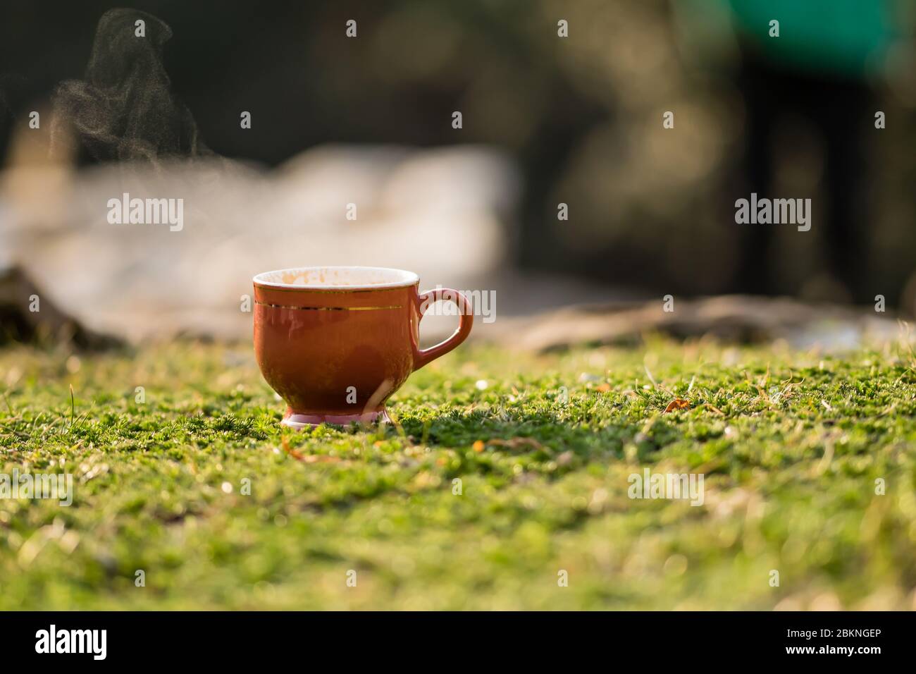 Caffè espresso / tazza da tè tenuto su erba in giardino su sfondo naturale Foto Stock