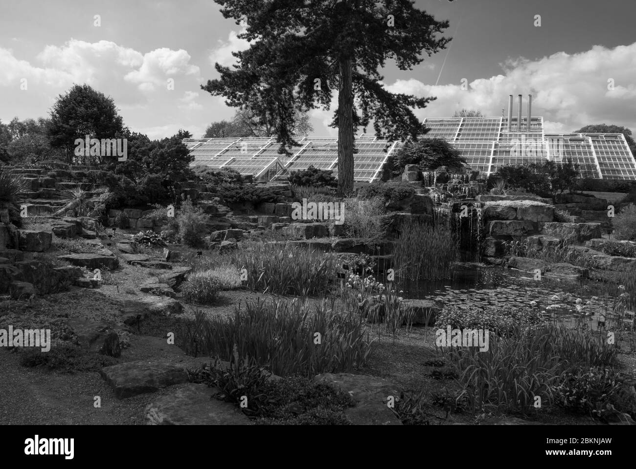 White Steel Glasshouse Landscape Princess of Wales Conservatory Royal Botanic Gardens Kew Gardens, Richmond, Londra by Gordon Wilson Foto Stock