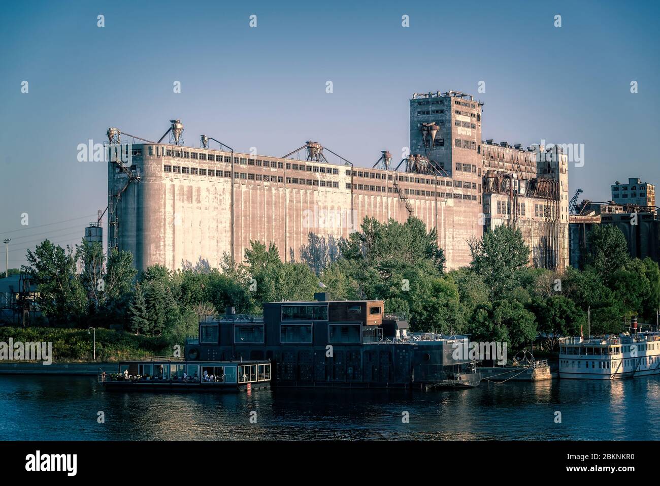 Silo n°5, un iconico edificio abbandonato sul vecchio porto di Montreal, Quebec, Canada Foto Stock