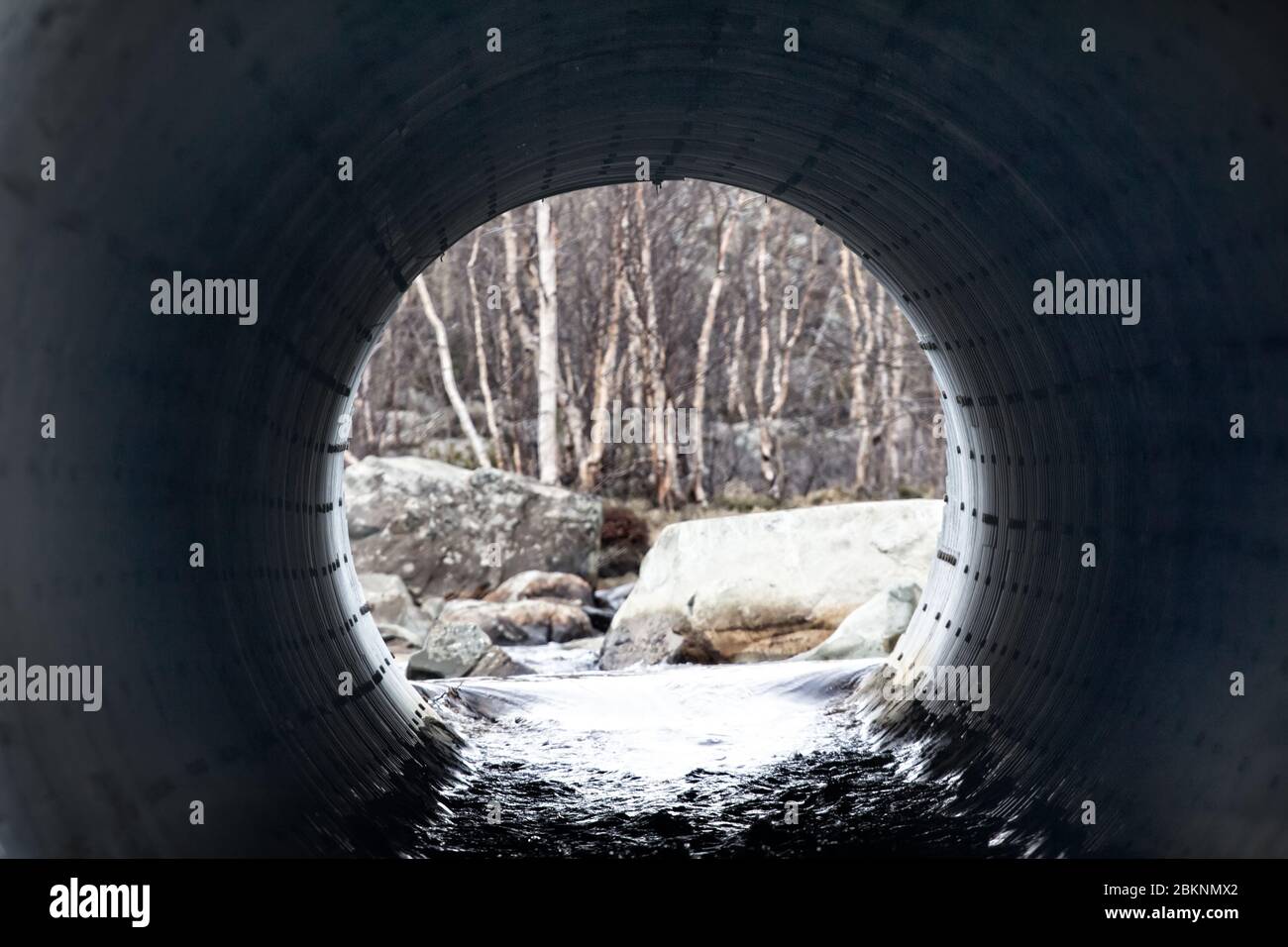 Tubo sotto la strada (culverts) diametro grande per drenare l'acqua di sorgente dal fiume e dalla foresta attraverso il foro del tubo Foto Stock