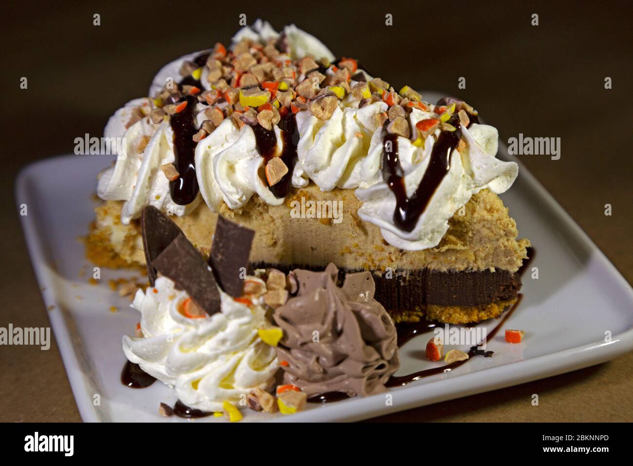 Una torta al cioccolato servita a Barrington, Nuova Scozia, Canada. Il dessert è condito con panna montata e cioccolato in fiocchi. Foto Stock