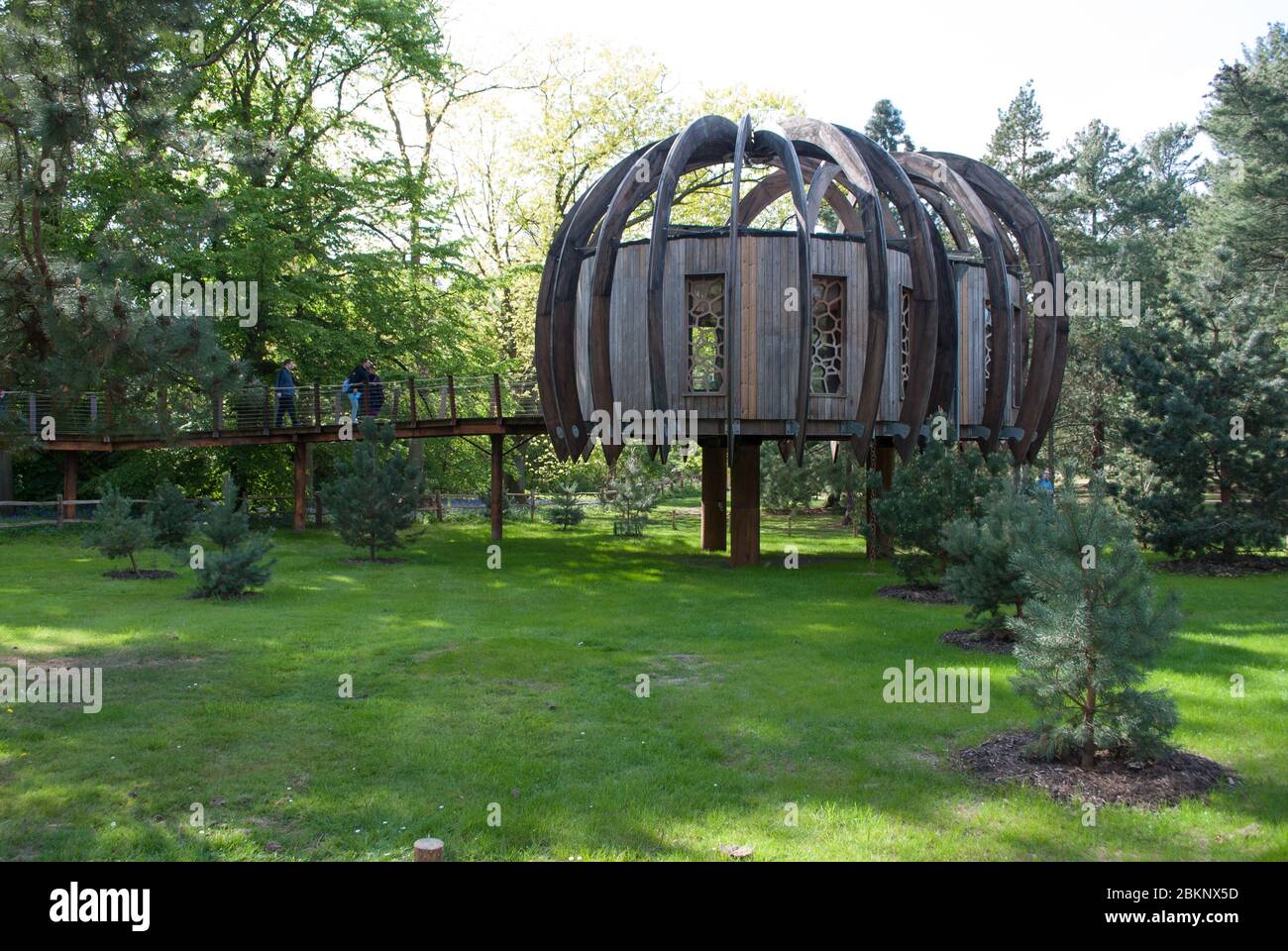 Quiet Mark Treehouse Woodland House Area naturale Royal Botanic Gardens Kew Gardens, Richmond, Londra by Blue Forest Designer quiet Tree Forest Foto Stock